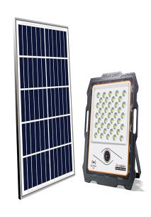 FLOODLIGHT CAMERA ALP 0222 Series — FLOODLIGHT: ALP 0222A100-01