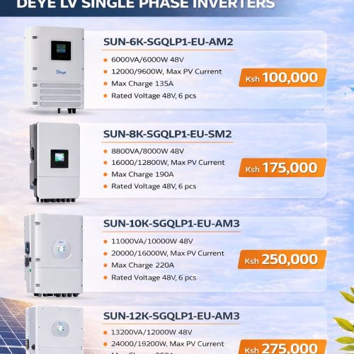 WhatsApp Image 2026-01-20 at 08.33.46