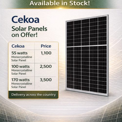 WhatsApp Image 2026-01-20 at 08.33.49